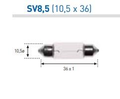 AMOLUX 158 - 12V5W PLAFONIER 10X38 RECOFICIAL