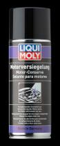 LIQUI MOLY 3327 - BRILLO EXTERIOR MOTOR