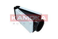 FAMILIA KAMOKA F253201 - AIRE MERCEDES C22028